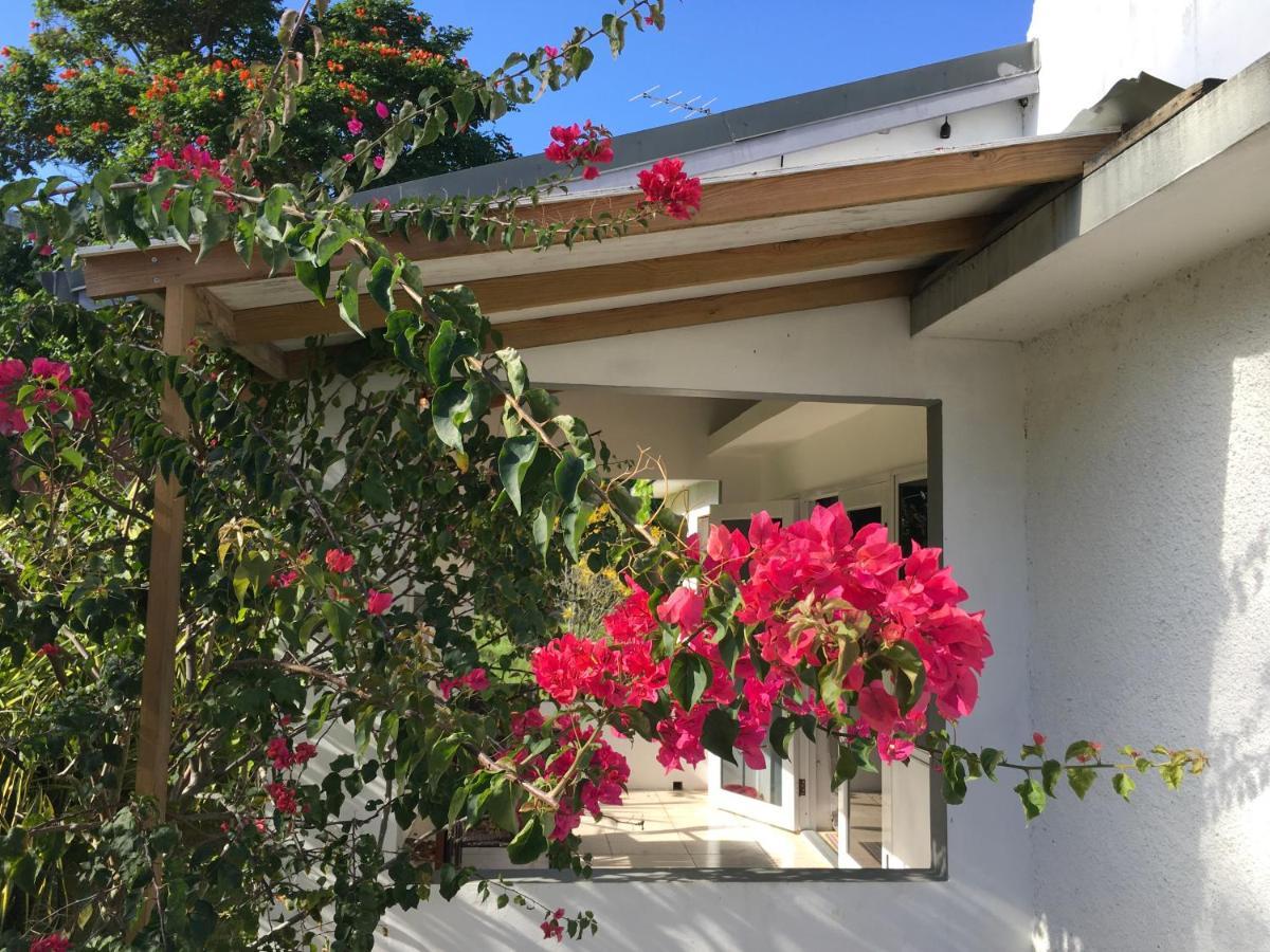 Ancella'S Garden Apartment-Beach-5Min Drive, 1 Hr Montego Bay, 25 Mins Ocho Rios, Continental Breakfast Runaway Bay Ngoại thất bức ảnh