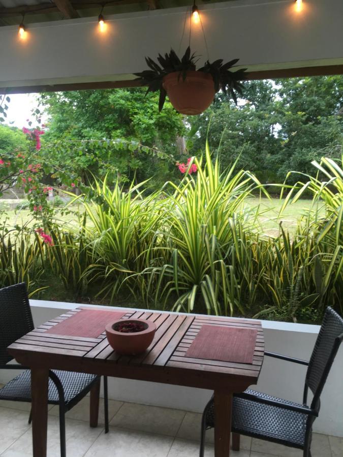 Ancella'S Garden Apartment-Beach-5Min Drive, 1 Hr Montego Bay, 25 Mins Ocho Rios, Continental Breakfast Runaway Bay Ngoại thất bức ảnh