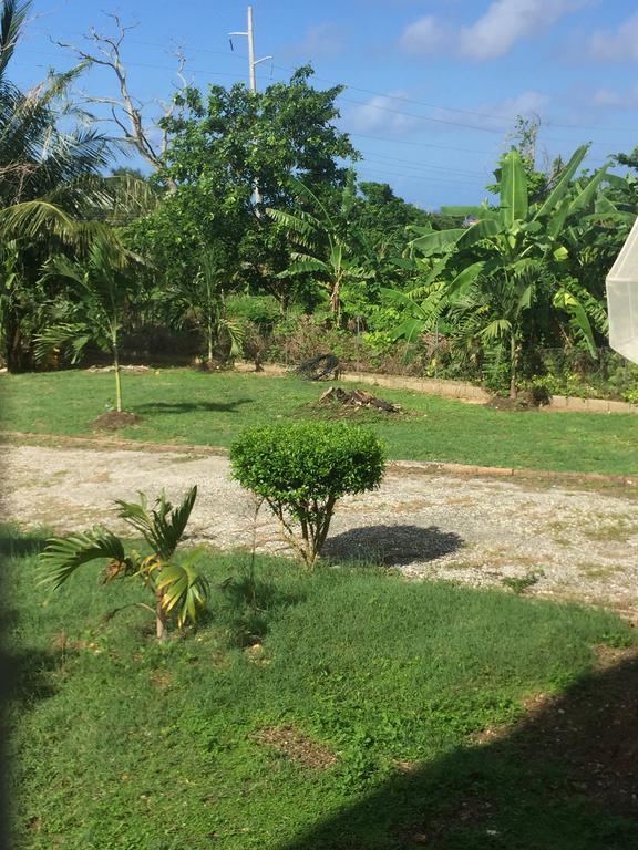 Ancella'S Garden Apartment-Beach-5Min Drive, 1 Hr Montego Bay, 25 Mins Ocho Rios, Continental Breakfast Runaway Bay Ngoại thất bức ảnh